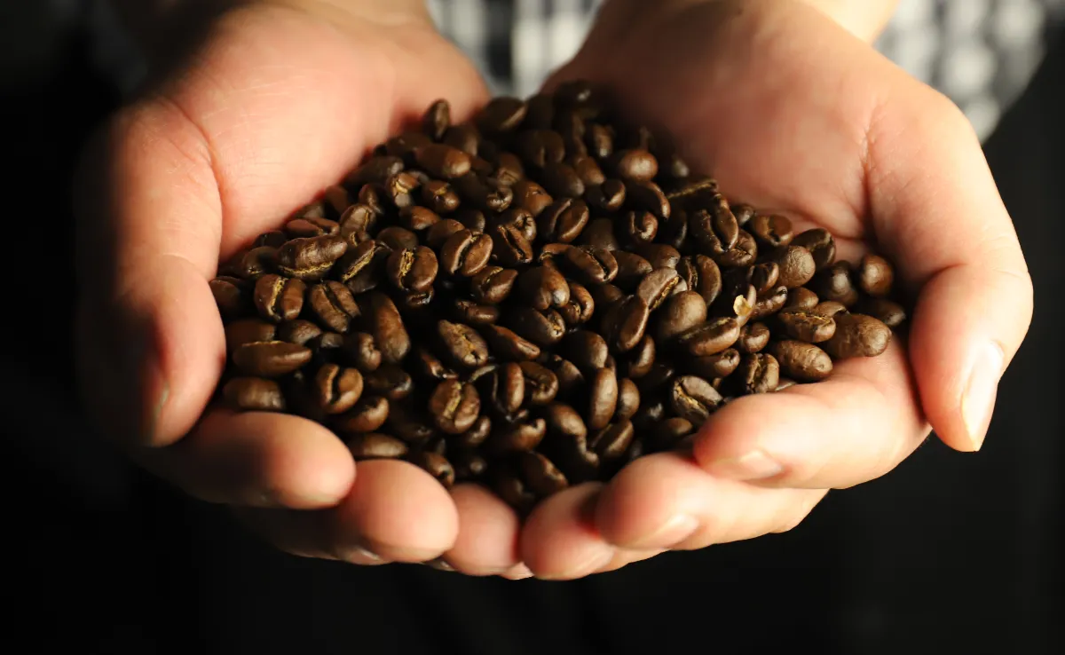 手のひらに盛られたコーヒー豆
